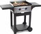 Princess 105055 FR Gasbakplaat met Trolley RVS/Zwart