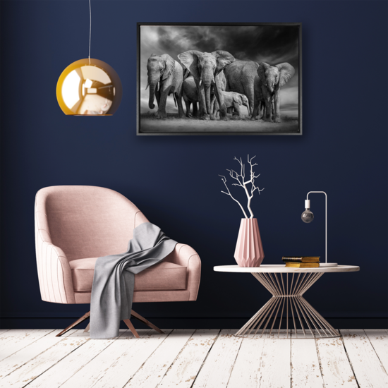 La pared Canvas - Olifanten groep