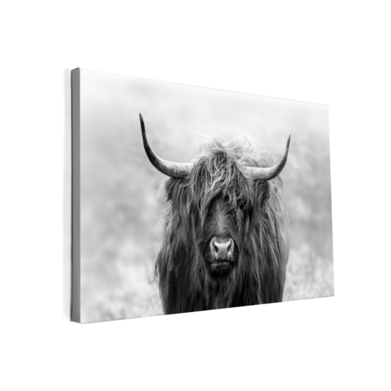 La pared Canvas - Hooglander 